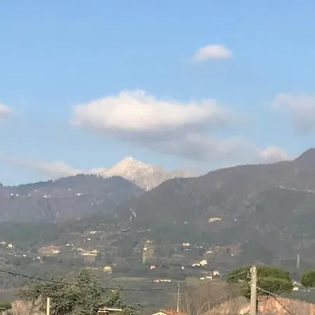 Domus Zoe Forte dei Marmi