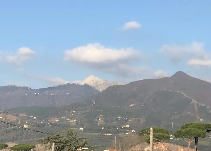 Domus Zoe 포르데데이마르미